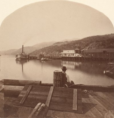 索萨利托从N.P.C.R.R.码头向南看，约1868年。 作者 爱德沃德·迈布里奇
