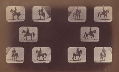 前瞻性的研究。马。走路。马赫米特。第119-120号，1879年。 作者 爱德沃德·迈布里奇