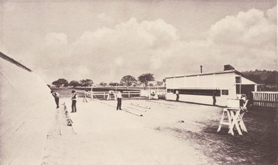 瞬时摄影所显示的运动中的马。附有关于动物的研究..., 1881-1882. 作者 爱德沃德·迈布里奇