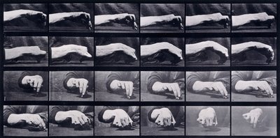 手的运动研究，约1872-1885年 作者 Eadweard Muybridge