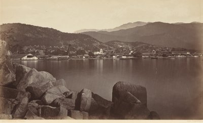 1877 年，阿卡普尔科（照片） 作者 爱德沃德·迈布里奇
