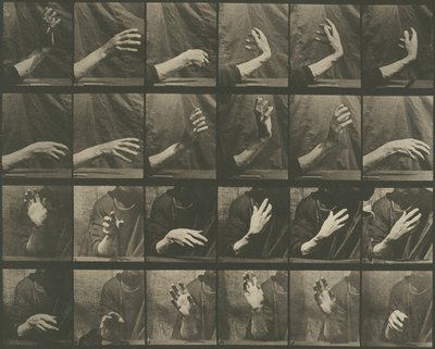 动物运动，第 535 版 作者 Eadweard Muybridge