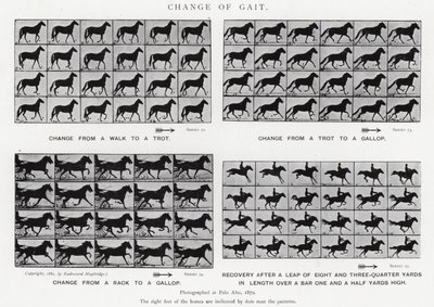 穆布里奇（Eadweard Muybridge）。改变步态（黑白照片 作者 爱德沃德·迈布里奇