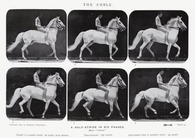 衣着的Muybridge：The Amble 作者 爱德沃德·迈布里奇