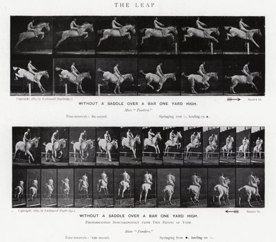 Eadweard Muybridge: The Leap (b/w photo) 作者 爱德沃德·迈布里奇