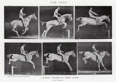 穆布里奇（Eadweard Muybridge）。飞跃》（黑白照片 作者 爱德沃德·迈布里奇
