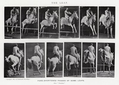 穆布里奇（Eadweard Muybridge）。飞跃》（黑白照片 作者 爱德沃德·迈布里奇