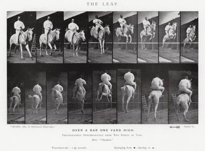 Eadweard Muybridge: The Leap (b/w photo) 作者 爱德沃德·迈布里奇