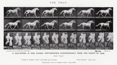穆布里奇（Eadweard Muybridge）。小跑》（黑白照片 作者 爱德沃德·迈布里奇