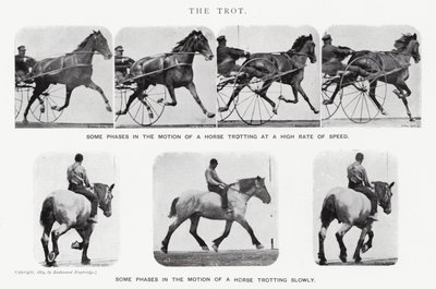 穆布里奇（Eadweard Muybridge）。小跑》（黑白照片 作者 爱德沃德·迈布里奇