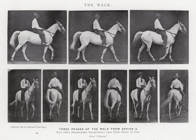穆布里奇（Eadweard Muybridge）。漫步（黑白照片 作者 爱德沃德·迈布里奇