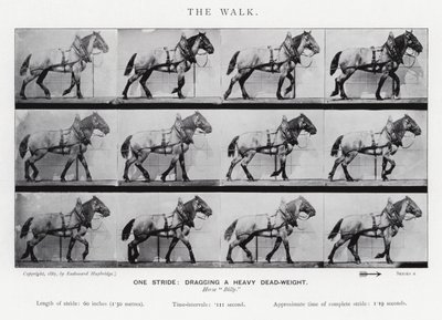 衣着的Muybridge：漫步 作者 爱德沃德·迈布里奇