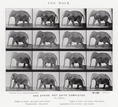 衣着的Muybridge：漫步 作者 爱德沃德·迈布里奇