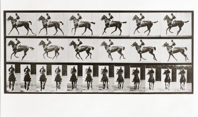骑马，骑士，板621来自Animal Locomotion，1887 作者 爱德沃德·迈布里奇