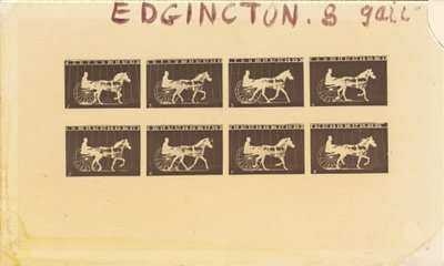 马匹的内向性。小跑。Abe Edgington.第28号 作者 爱德沃德·迈布里奇