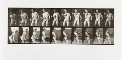 男子举哑铃，板材324从动物运动，1887年 作者 爱德沃德·迈布里奇