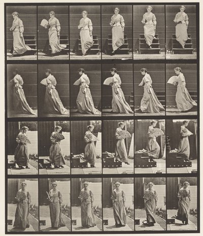 Plate 141. Descending Stairs and Flirting Fan 作者 爱德沃德·迈布里奇