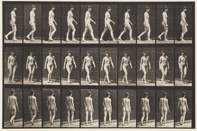 板块16.步行，1872-1885 作者 爱德沃德·迈布里奇