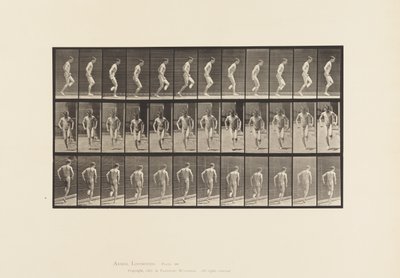 板块186. 1885年右脚踩踏板 作者 爱德沃德·迈布里奇