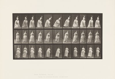 板块198.Courtseying，1885 作者 爱德沃德·迈布里奇