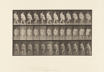 Plate 19. Walking, Commencing to Turn Around 作者 爱德沃德·迈布里奇