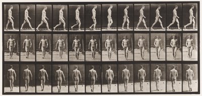 板1.行走 作者 Eadweard Muybridge