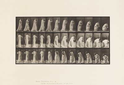 板块205.用花瓶装饰和弯腰，1885年 作者 爱德沃德·迈布里奇