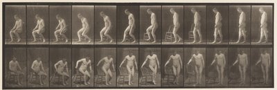 板块236.Placing Diair和Sitting Down，1885 作者 爱德沃德·迈布里奇