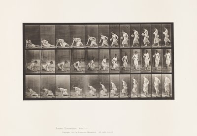 Plate 248. Sitting Down on the Ground 作者 爱德沃德·迈布里奇