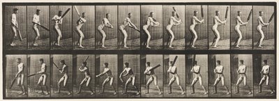 板块293.Cricket;棉絮; Back Cut，1885 作者 爱德沃德·迈布里奇