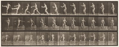 板301.Foot-ball; Punt，1885 作者 爱德沃德·迈布里奇