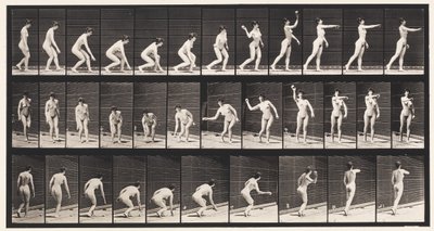 板块303.拾起球并投掷它，1872-1885 作者 爱德沃德·迈布里奇