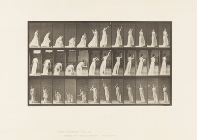 板块305.拿起球并投掷它，1885年 作者 爱德沃德·迈布里奇