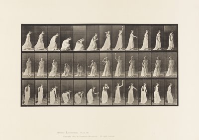 板块306.拿起球并投掷它，1885年 作者 爱德沃德·迈布里奇