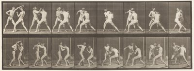 板342.拳击;张开手，1872-1885 作者 爱德沃德·迈布里奇