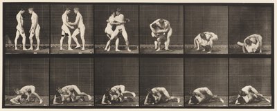 板块345.Wrestling，Lock，1885 作者 爱德沃德·迈布里奇