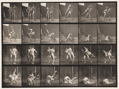 板块348.Wrestling，Graeco-Roman，1885 作者 爱德沃德·迈布里奇