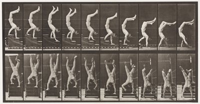 板368.杂技演员，手上的楼梯下降 作者 Eadweard Muybridge