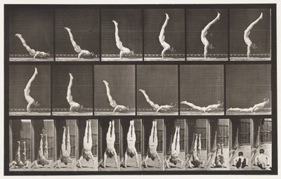板372。Acrobat，水平向上按 作者 Eadweard Muybridge