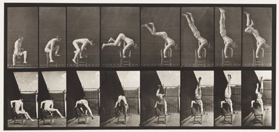 板373。Acrobat，从椅子向上按 作者 爱德沃德·迈布里奇