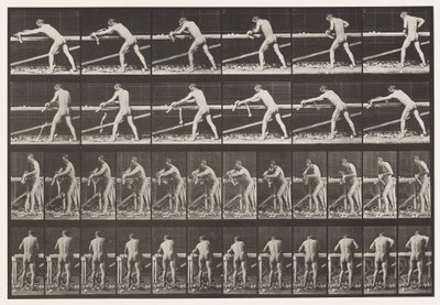 板块379. Carpenter，刨板，1872-1885 作者 爱德沃德·迈布里奇