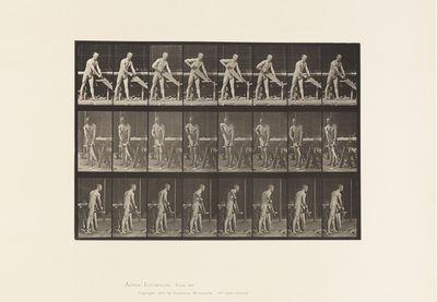 板380. Carpenter，Sawing，1872-1885 作者 爱德沃德·迈布里奇