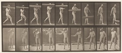 板384.抬起原木肩膀 作者 Eadweard Muybridge