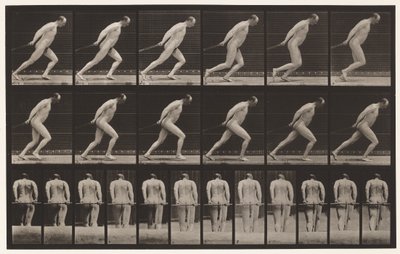 盘子392.拖动花园路辗，1872-1885 作者 爱德沃德·迈布里奇