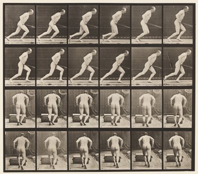 板393.推动花园压路机，1872-1885 作者 Eadweard Muybridge
