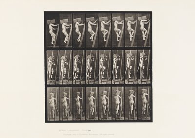 盘子405.携带砖的手在梯子，1872-1885 作者 爱德沃德·迈布里奇