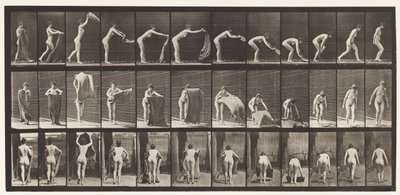 板块439.在地板上铺一块地毯，1872-1885 作者 Eadweard Muybridge
