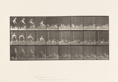 Plate 455. Throwing Self on Heap of Hay 作者 爱德沃德·迈布里奇
