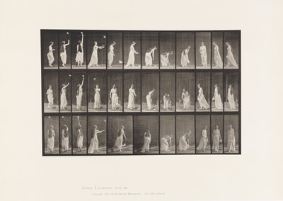 板块463.到达，弯腰和转身，1885年 作者 爱德沃德·迈布里奇