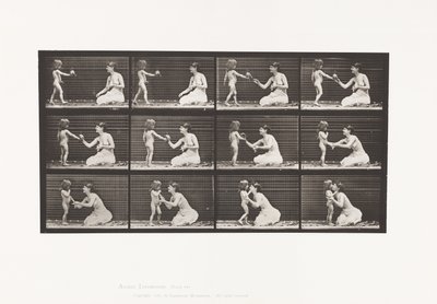 盘子465.两个型号，儿童70N，花束到12，1885年 作者 爱德沃德·迈布里奇